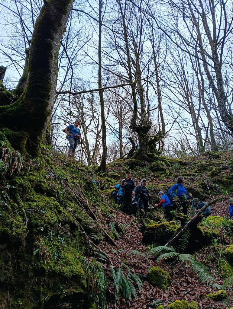 WhatsApp Image 2026-03-08 at 19.34.47